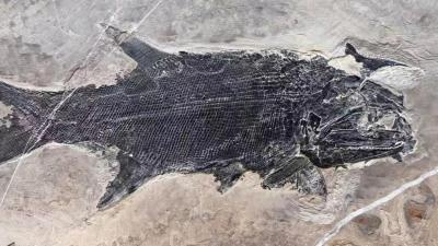 金与正就无人机事件谴责韩军方
