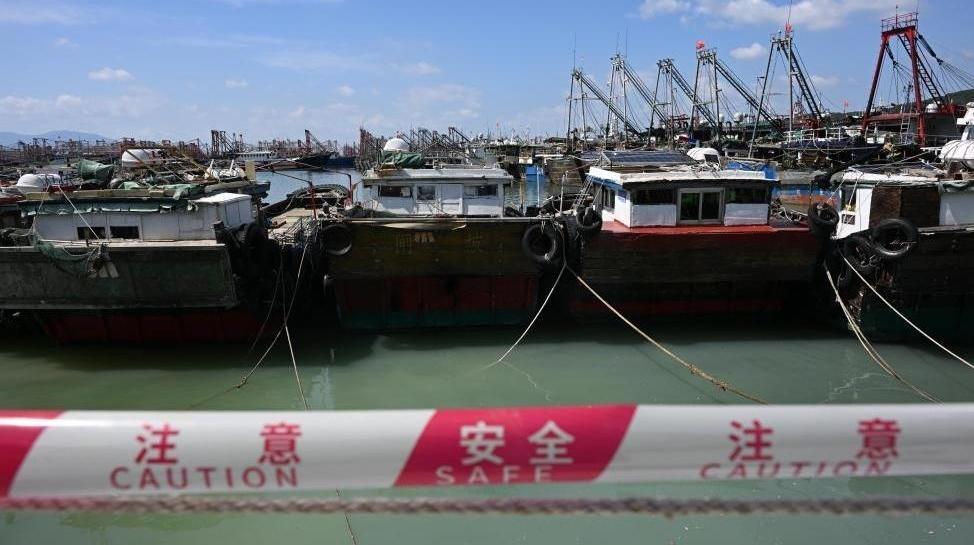 成全视频高清免费播放电视剧好剧