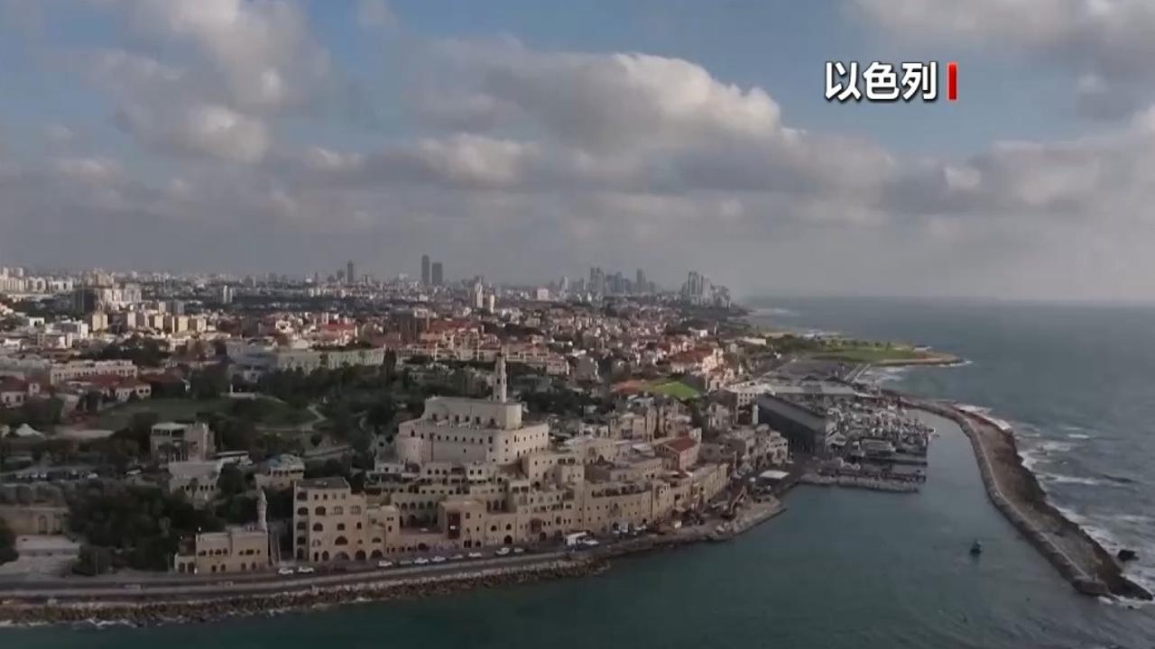 林诗栋张本智和