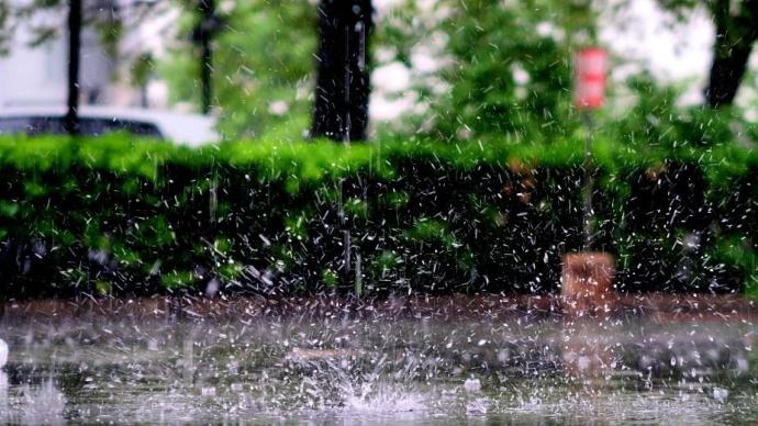 律师称雨姐带货油污净或赔偿过亿