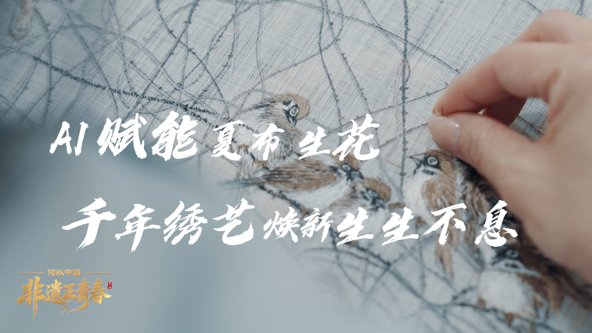 评论：“张凌赫现象”凸显两岸同胞可以“双向奔赴”