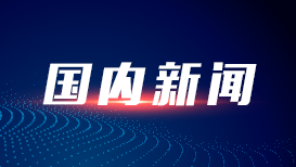 林诗栋比张本智和