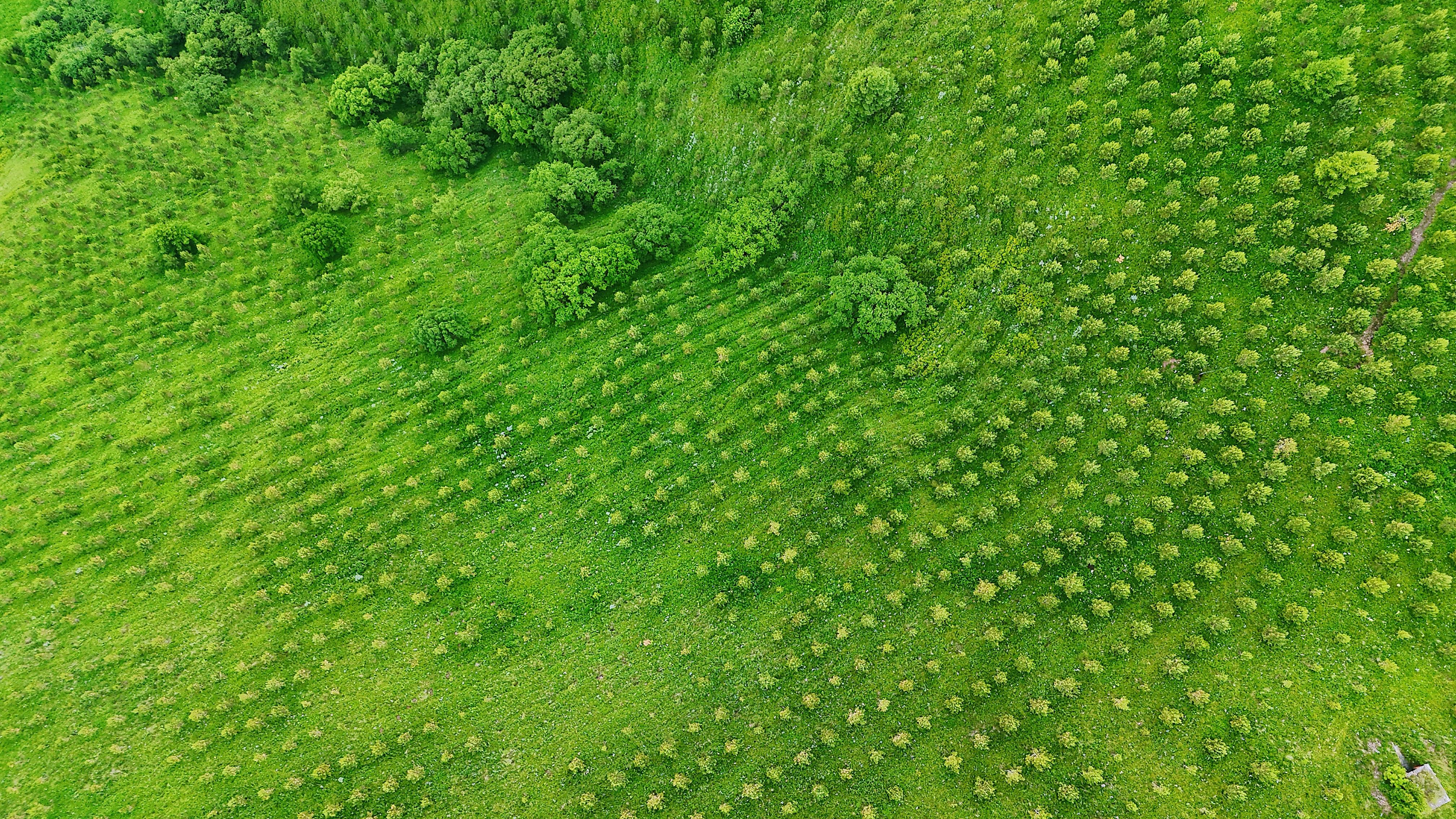 人的购物车早一个月就想好了