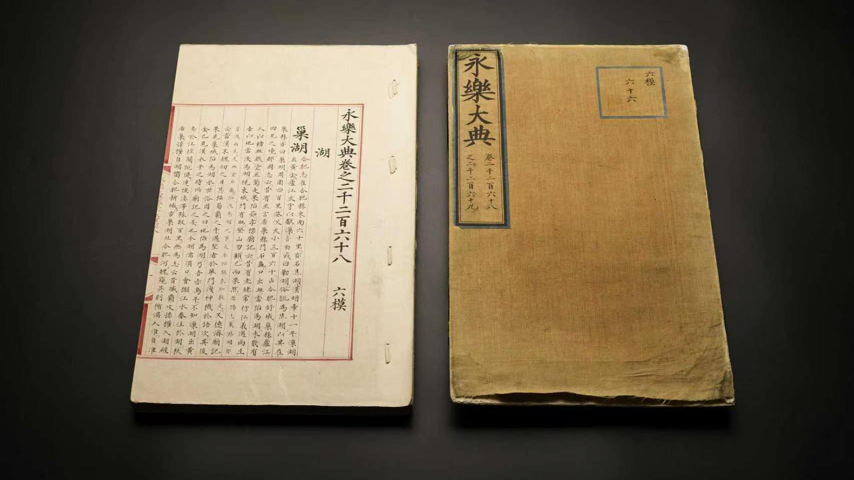 林诗栋张本智和