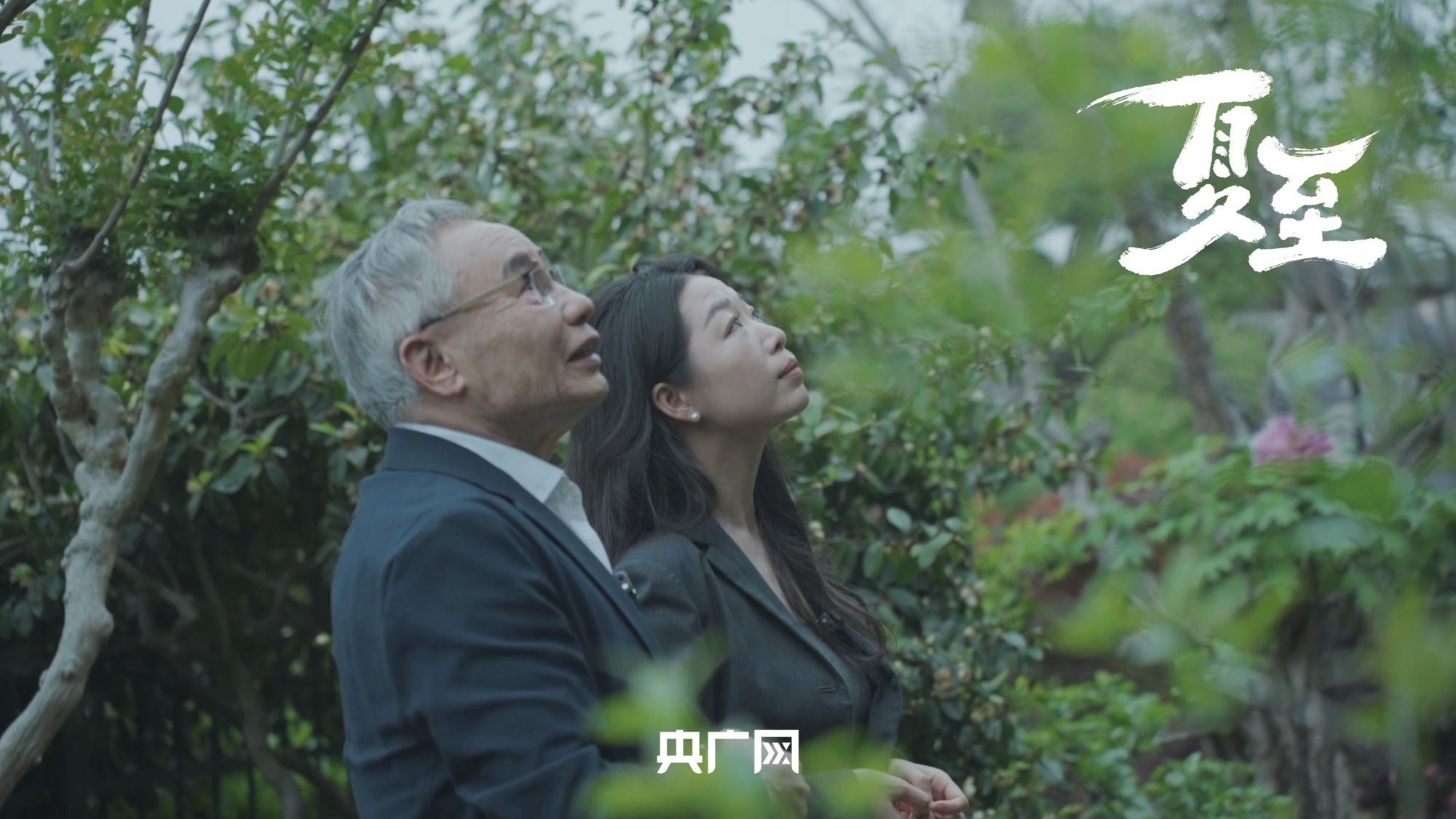 成全免费高清完整版电视剧