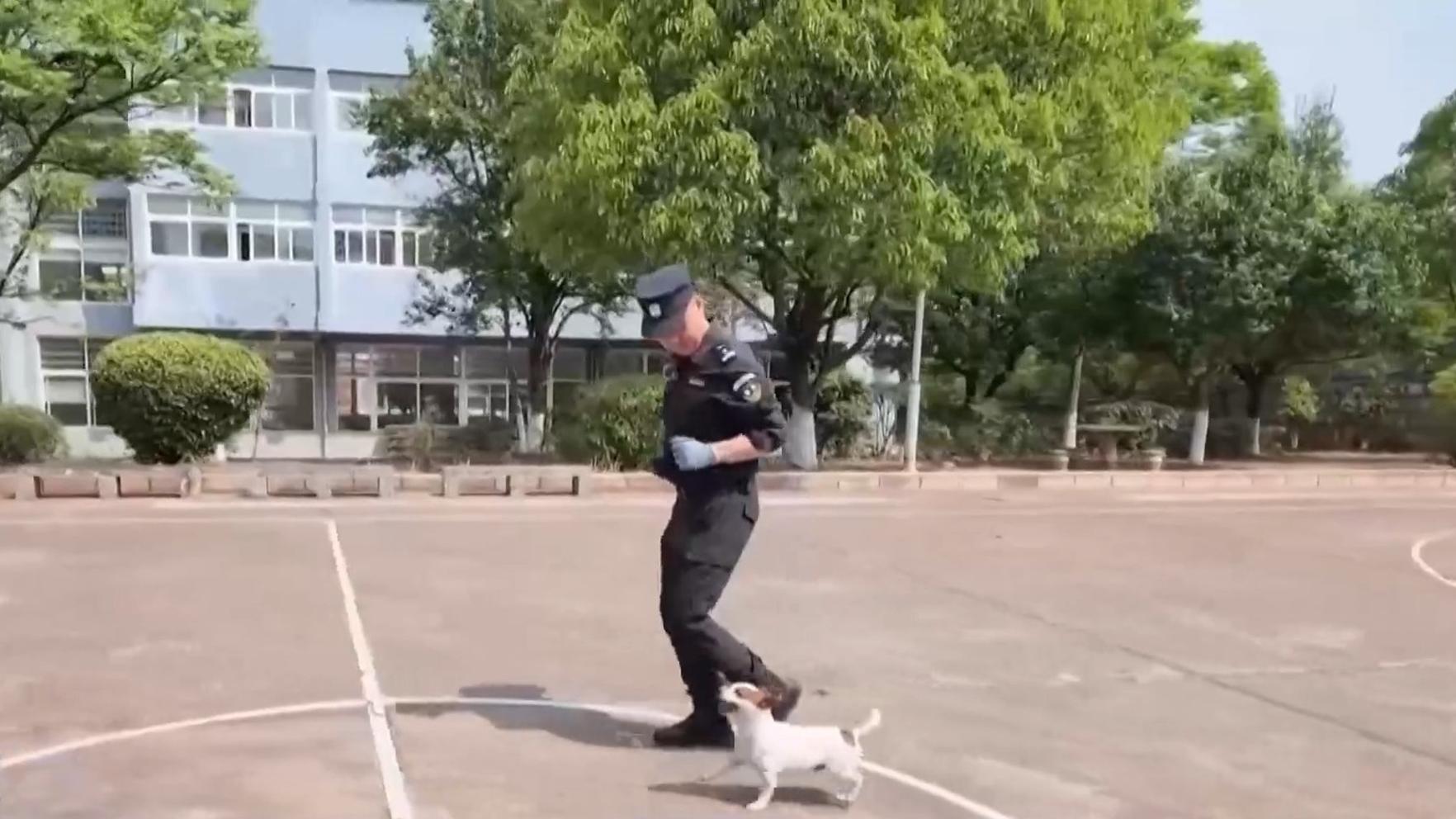 台青贵州铜仁观龙舟赛：同舟共渡两岸情