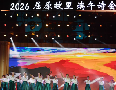东北雨姐为何注册多家公司