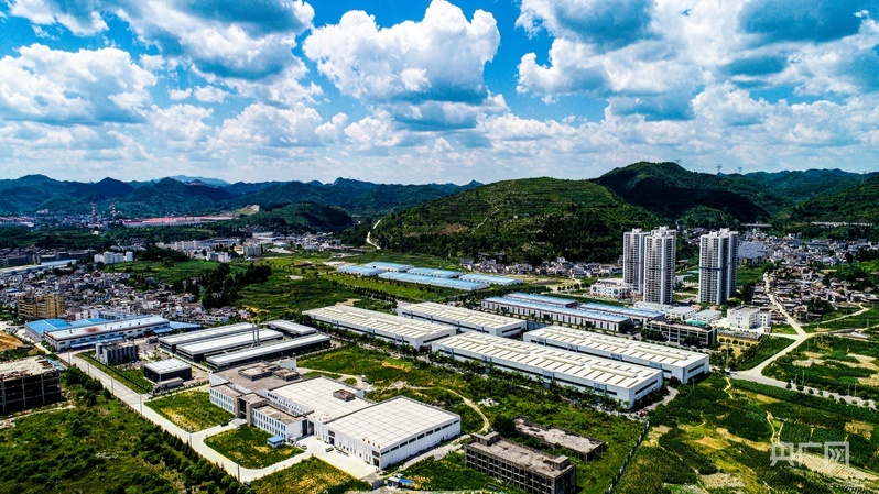 哀牢山发现全球仅千只的鸟