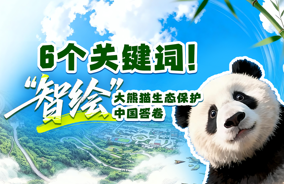 听泉鉴宝喊话别再神话我了
