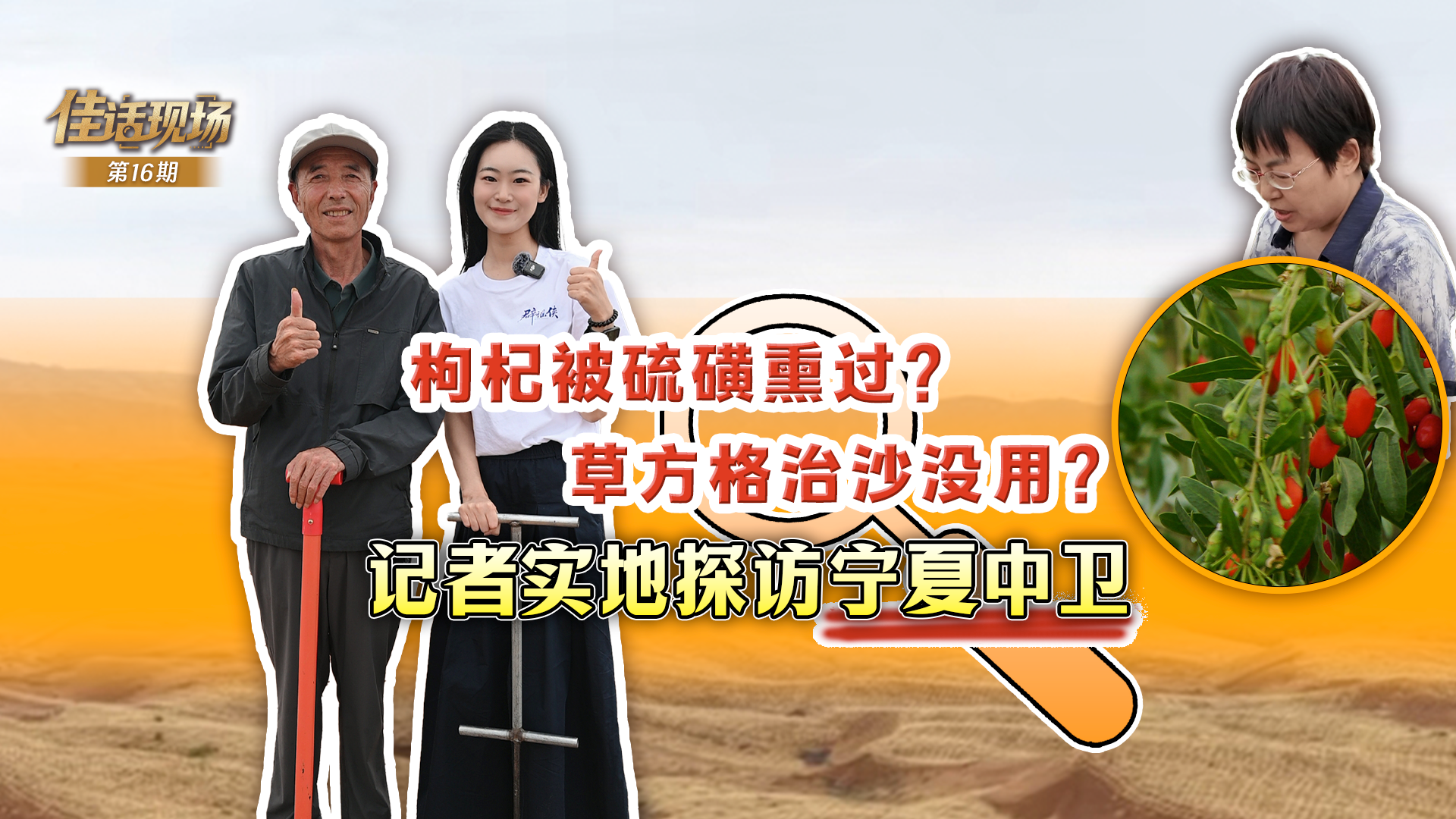 各地开展主题党日活动迎“七一”