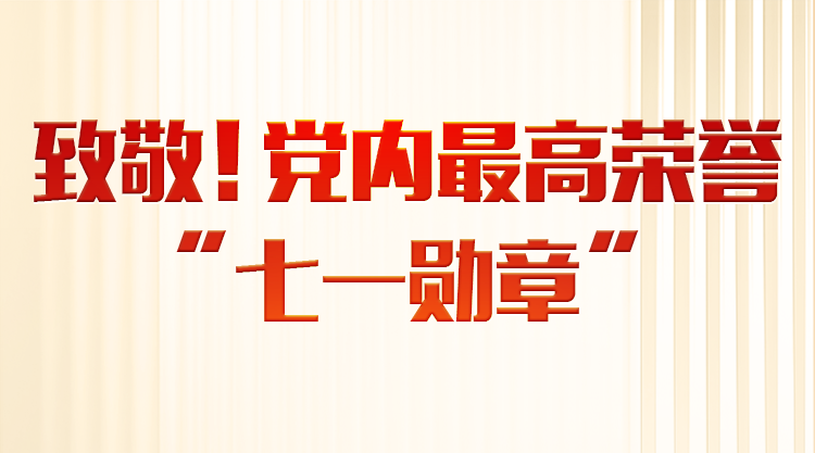 习近平等为受表彰的全国“两优一先”代表颁奖